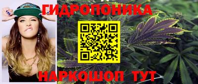 прущий лед Будённовск